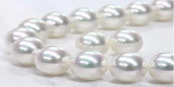 akoya pearl 日本真珠